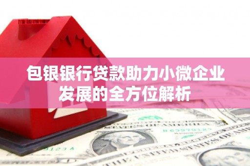 府谷包银银行贷款助力小微企业发展的全方位解析
