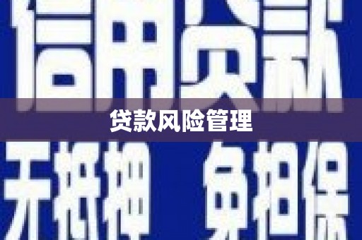 府谷贷款风险管理