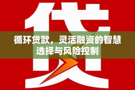 府谷循环贷款，灵活融资的智慧选择与风险控制