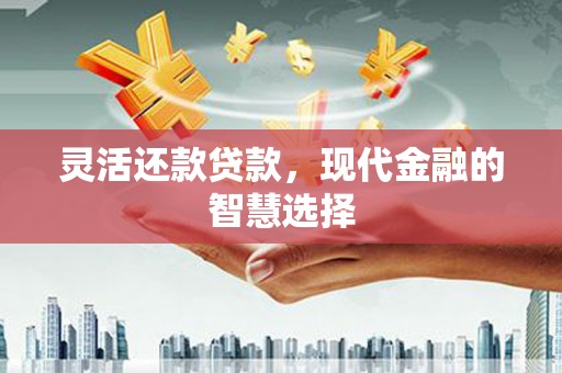府谷灵活还款贷款，现代金融的智慧选择