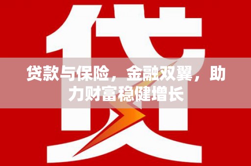 府谷贷款与保险，金融双翼，助力财富稳健增长
