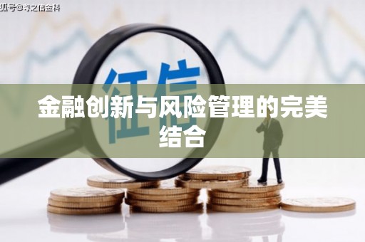府谷金融创新与风险管理的完美结合