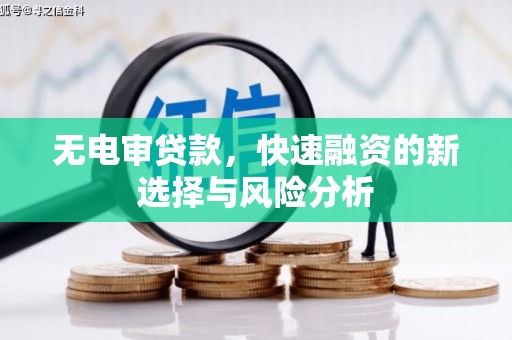 府谷无电审贷款，快速融资的新选择与风险分析