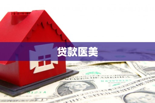 府谷贷款医美