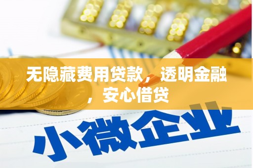 府谷无隐藏费用贷款，透明金融，安心借贷