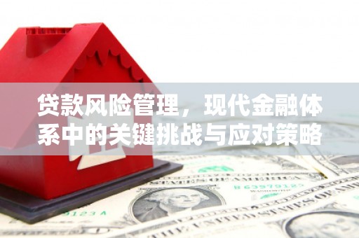 府谷贷款风险管理，现代金融体系中的关键挑战与应对策略