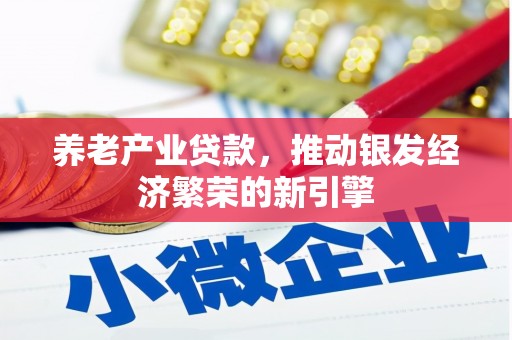 府谷养老产业贷款，推动银发经济繁荣的新引擎