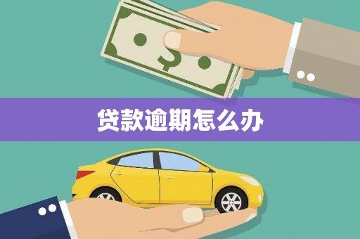 府谷贷款逾期怎么办