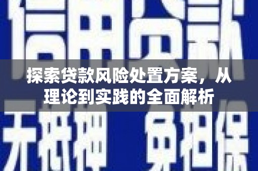 府谷探索贷款风险处置方案，从理论到实践的全面解析