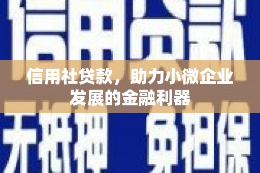 府谷信用社贷款，助力小微企业发展的金融利器
