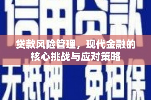 府谷贷款风险管理，现代金融的核心挑战与应对策略