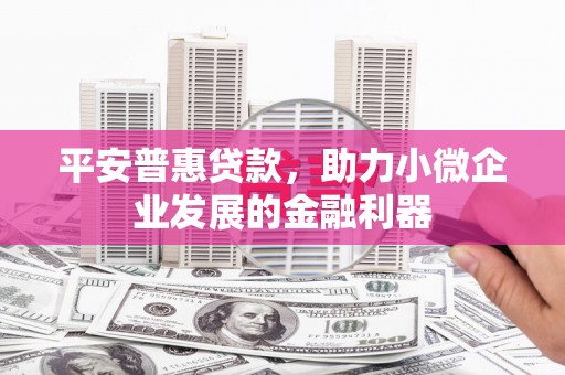 府谷平安普惠贷款，助力小微企业发展的金融利器