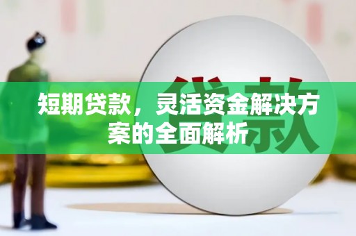 府谷短期贷款，灵活资金解决方案的全面解析