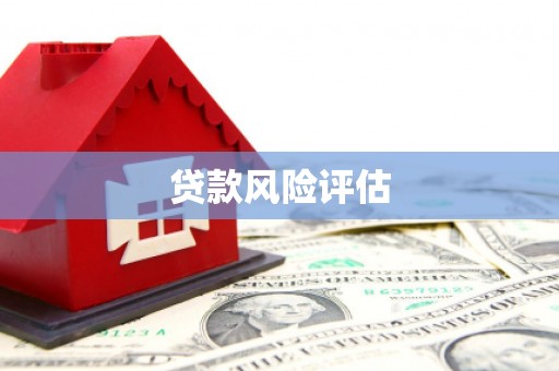府谷贷款风险评估