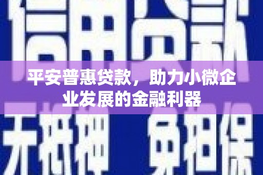 府谷平安普惠贷款，助力小微企业发展的金融利器