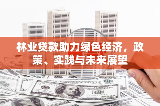 府谷林业贷款助力绿色经济，政策、实践与未来展望