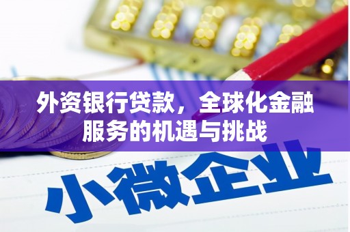 府谷外资银行贷款，全球化金融服务的机遇与挑战