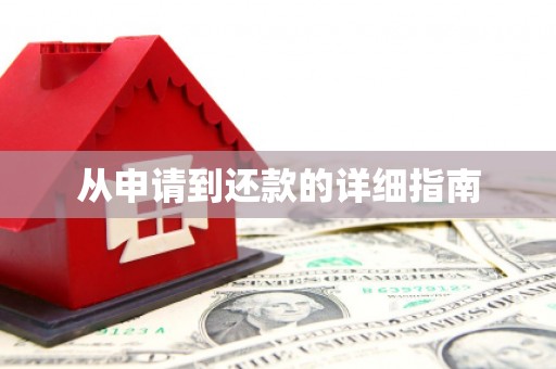 府谷从申请到还款的详细指南