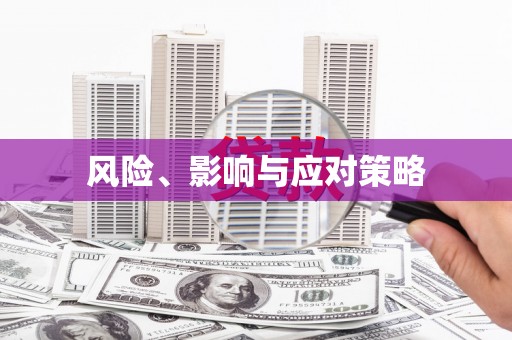 府谷风险、影响与应对策略