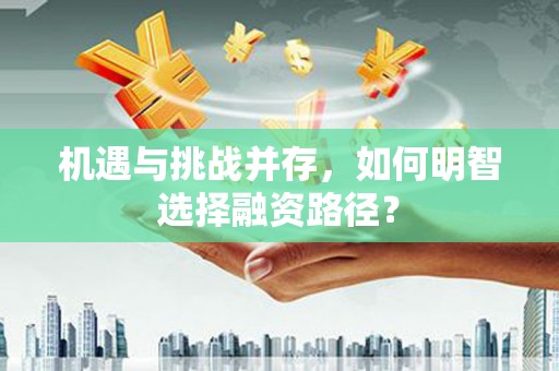 府谷机遇与挑战并存，如何明智选择融资路径？